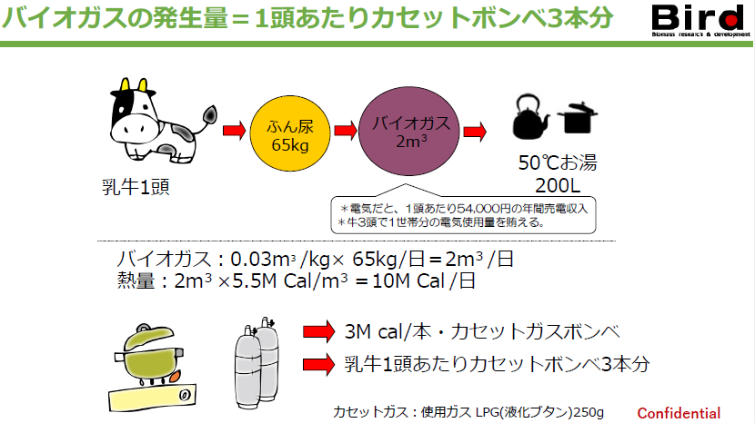 ダイジェスト　イメージ